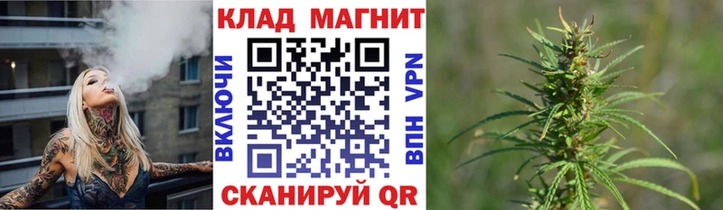 Купить закладку A PVP  COCAIN  Амфетамин  Бошки Шишки  ГАШ  ТГК  Мефедрон  Западная Двина