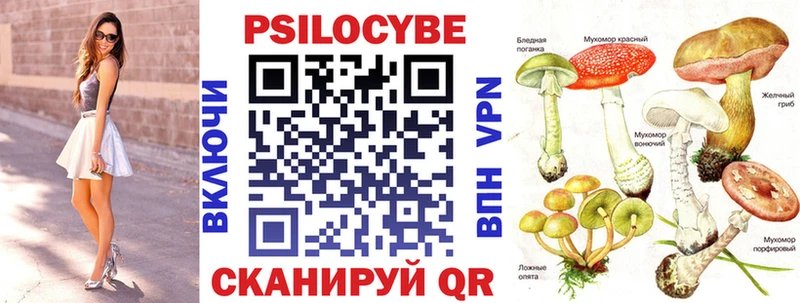 Купить закладки  Западная Двина  Псилоцибиновые грибы Psilocybe 